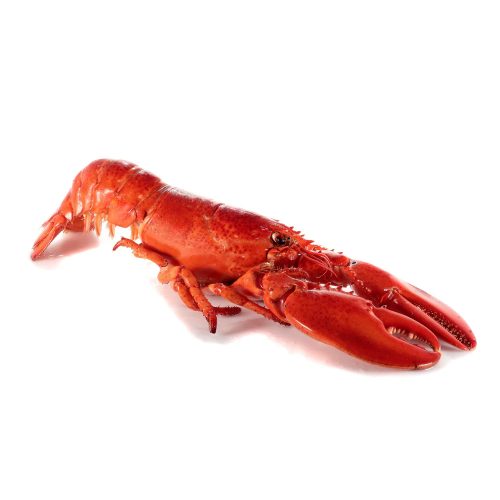Whole Cooked Lobsters 10X400Gr