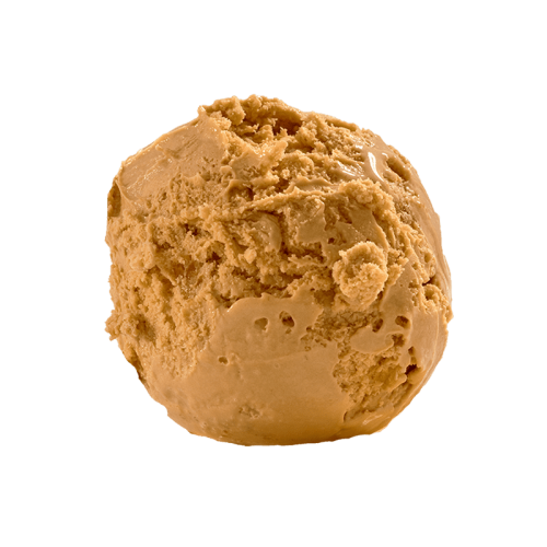Gelato Salted Caramel 5 Lt